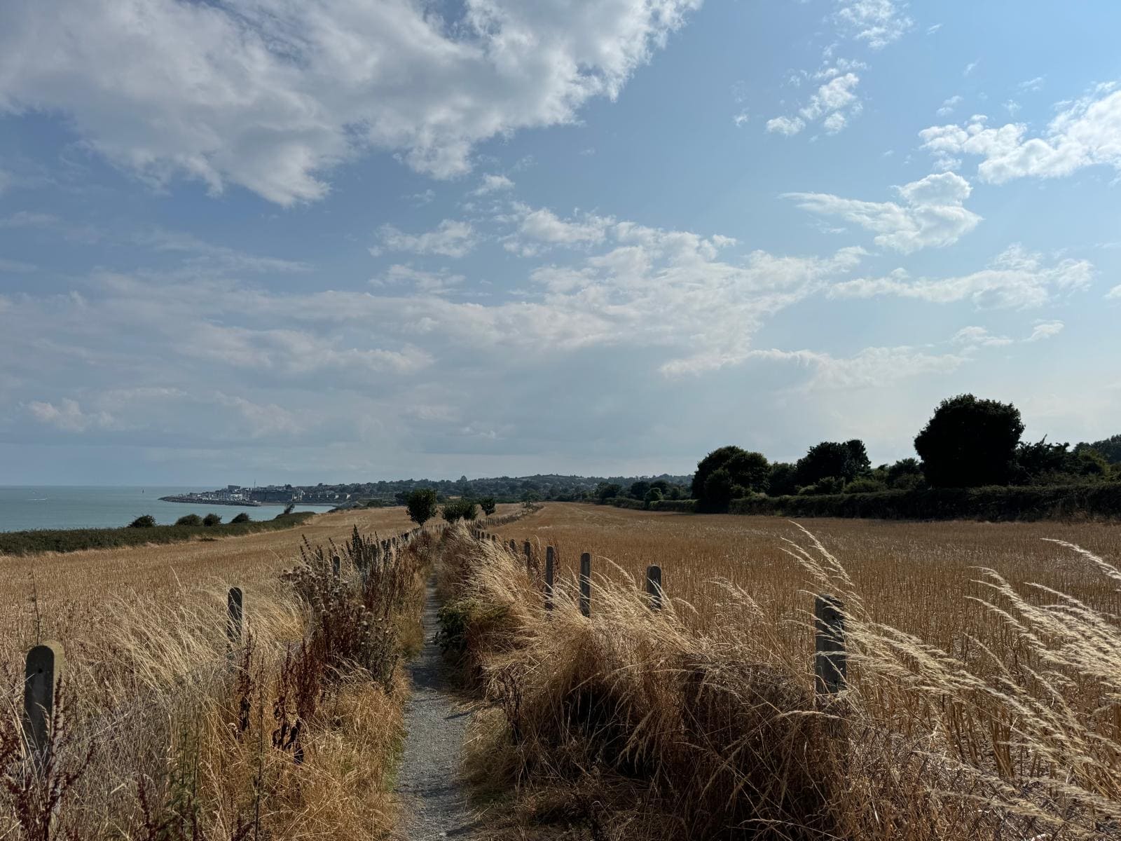 Agricultural Conveyancing